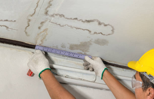 Reliable Water Damage Repair contractor in Savannah, TN by Hirex Water Damage